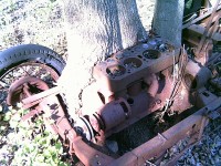 alittle bright , but you can see the tree consuming the engine and frame