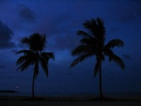 IMG_0545.JPG