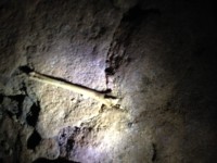 Cave Bone