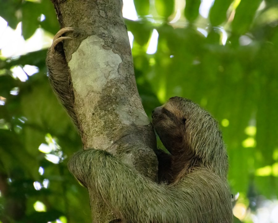 costaricatrip-5316.jpg