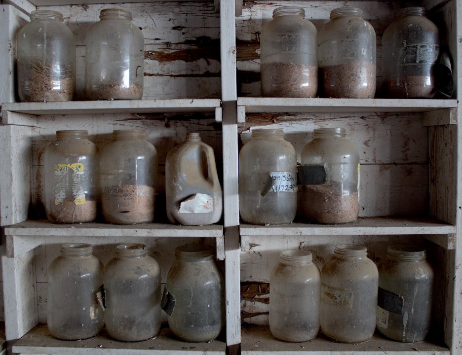 Shelves of jars containing grain samples.